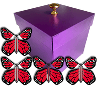 
              Purple Exploding Butterfly Gift Box With 4 Red Monarch Wind Up Flying Butterflies from butterflyers.com
            