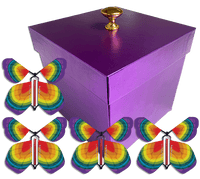 
              Purple Exploding Butterfly Gift Box With 4 Tye Dye Wind Up Flying Butterflies from butterflyers.com
            