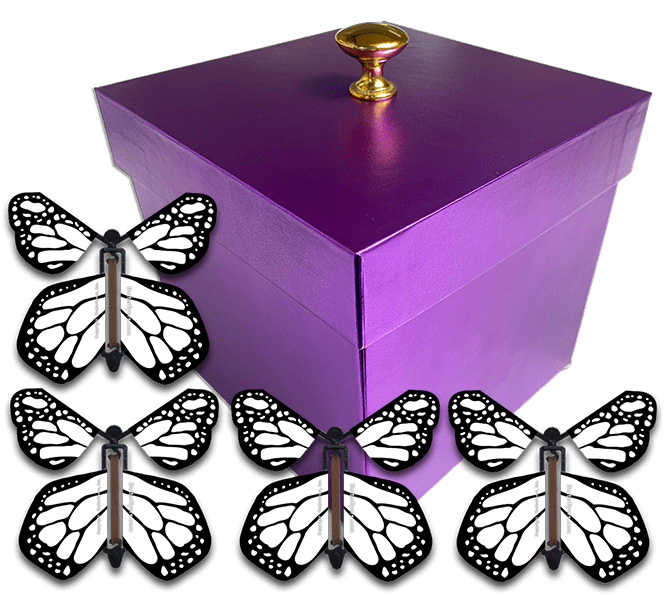 Purple Exploding Butterfly Gift Box With 4 White Monarch Wind Up Flying Butterflies from butterflyers.com