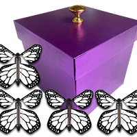Purple Exploding Butterfly Gift Box With 4 White Monarch Wind Up Flying Butterflies from butterflyers.com