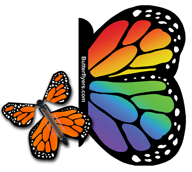 Rainbow Exploding Butterfly Card with Orange Monarch wind up flying butterfly from butterflyers.com
