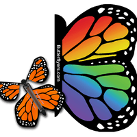 Rainbow Exploding Butterfly Card with Orange Monarch wind up flying butterfly from butterflyers.com