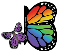 
              Rainbow Exploding Butterfly Card with Purple Monarch wind up flying butterfly from butterflyers.com
            