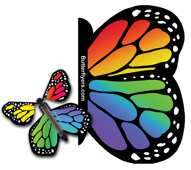 Rainbow Monarch Exploding Butterfly Card with Rainbow Monarch wind up flying butterfly from butterflyers.com
