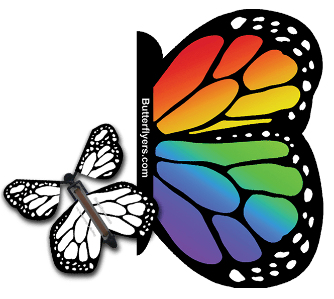 Rainbow Exploding Butterfly Card with White Monarch wind up flying butterfly from butterflyers.com