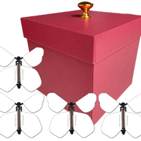 Red Valentines Day Exploding Butterfly Box With Blank/White Wind Up Flying Butterflies