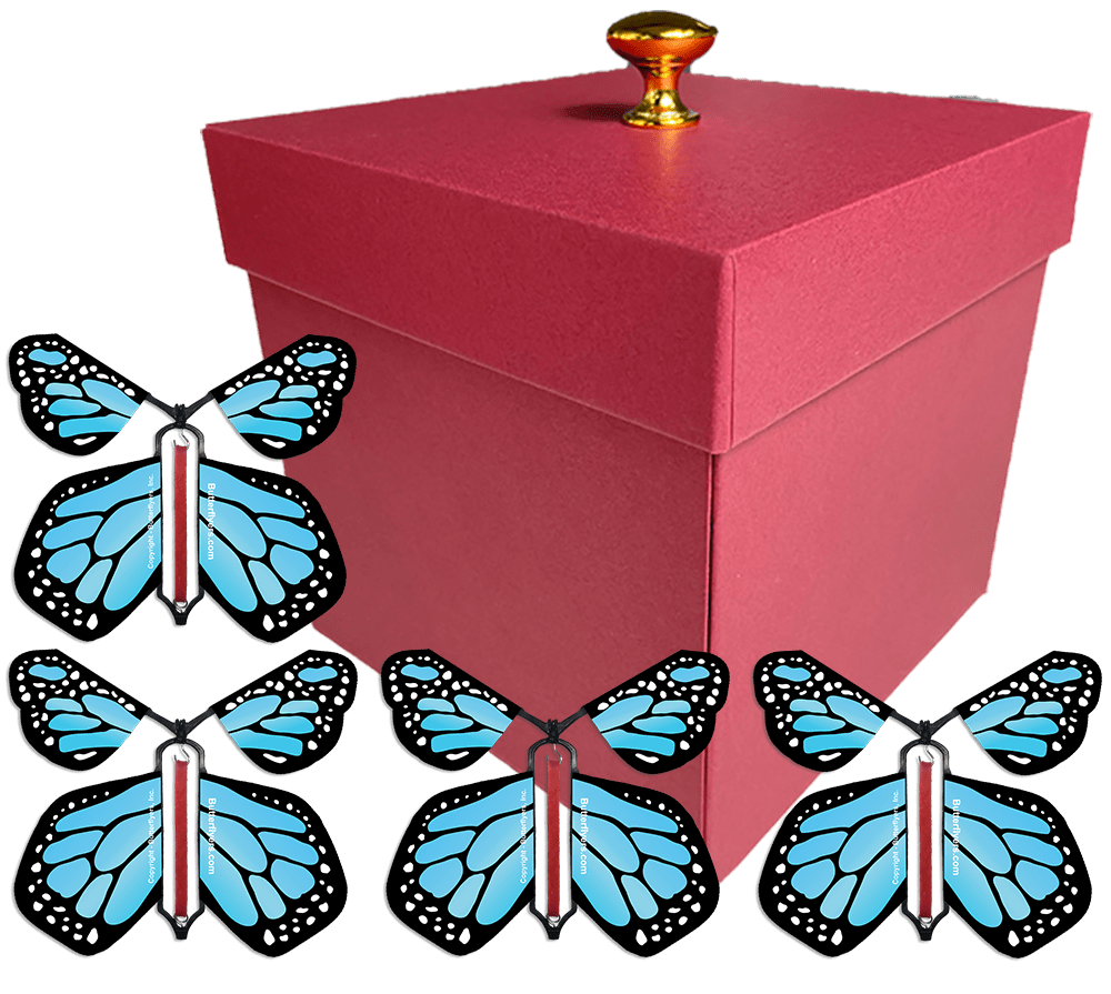 Red Exploding Butterfly Gift Box With 4 Blue Monarch Wind Up Flying Butterflies from butterflyers.com