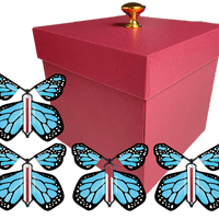 Red Exploding Butterfly Gift Box With 4 Blue Monarch Wind Up Flying Butterflies from butterflyers.com