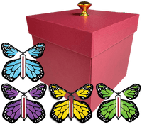 
              Red Exploding Butterfly Gift Box With 4 Multi Color Monarch Wind Up Flying Butterflies from butterflyers.com
            