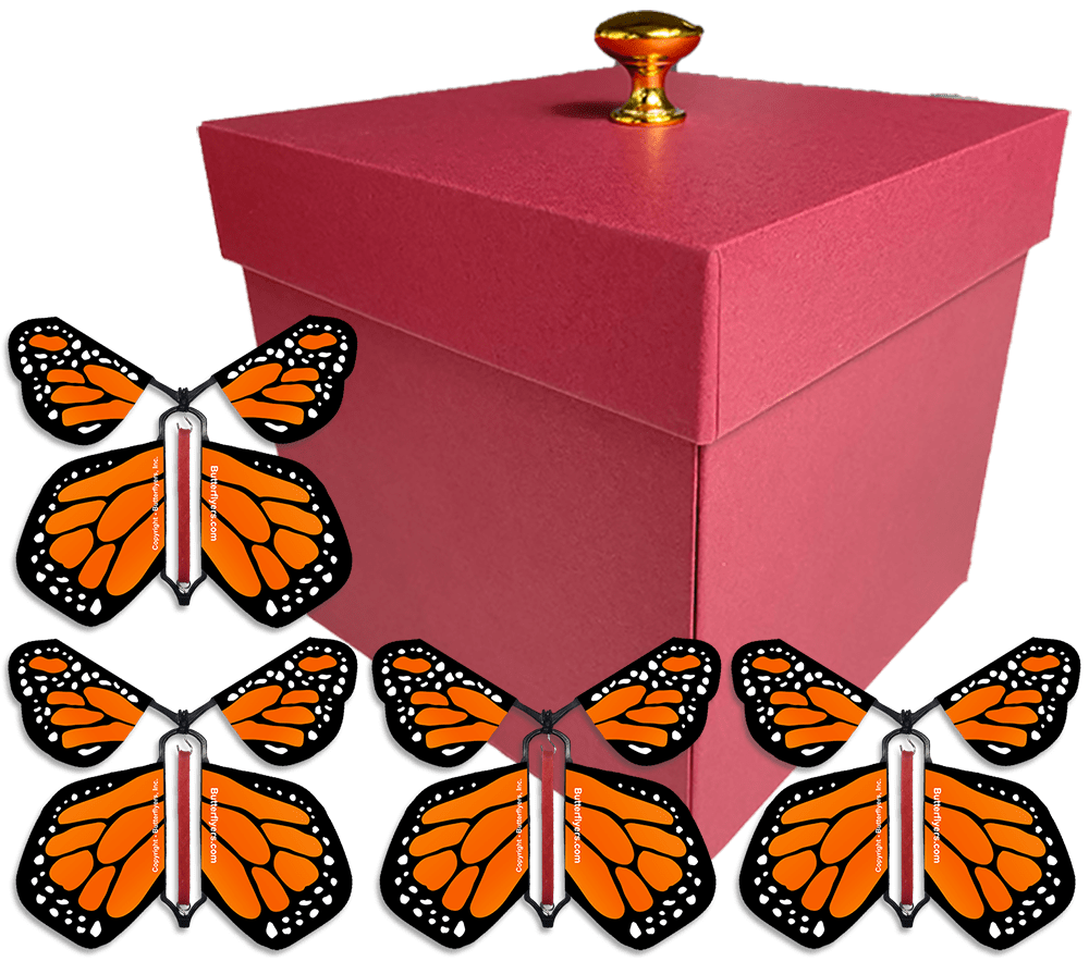 Red Exploding Butterfly Gift Box With 4 Orange Monarch Wind Up Flying Butterflies from butterflyers.com