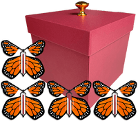 
              Red Exploding Butterfly Gift Box With 4 Orange Monarch Wind Up Flying Butterflies from butterflyers.com
            