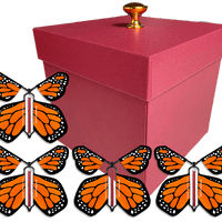 Red Exploding Butterfly Gift Box With 4 Orange Monarch Wind Up Flying Butterflies from butterflyers.com