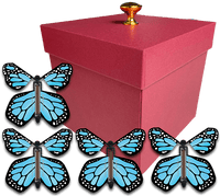 
              Red Exploding Gender Reveal Box With Blue Monarch Flying Butterflies From Butterflyers.com
            