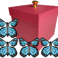 Red Exploding Gender Reveal Box With Blue Monarch Flying Butterflies From Butterflyers.com
