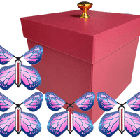 Red Exploding Butterfly Gift Box With 4 Cobalt Pink Wind Up Flying Butterflies from butterflyers.com