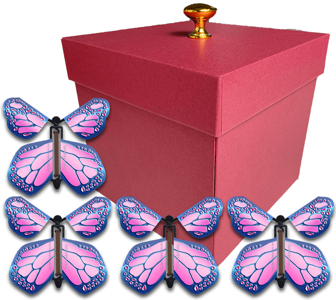 Red Exploding Gender Reveal Box With Cobalt Pink Flying Butterflies From Butterflyers.com