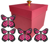 
              Red Exploding Gender Reveal Box With Pink Monarch Flying Butterflies From Butterflyers.com
            