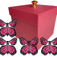 Red Exploding Gender Reveal Box With Pink Monarch Flying Butterflies From Butterflyers.com
