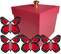 
              Red Valentines Day Exploding Butterfly Box With Red Monarch Wind Up Flying Butterflies
            