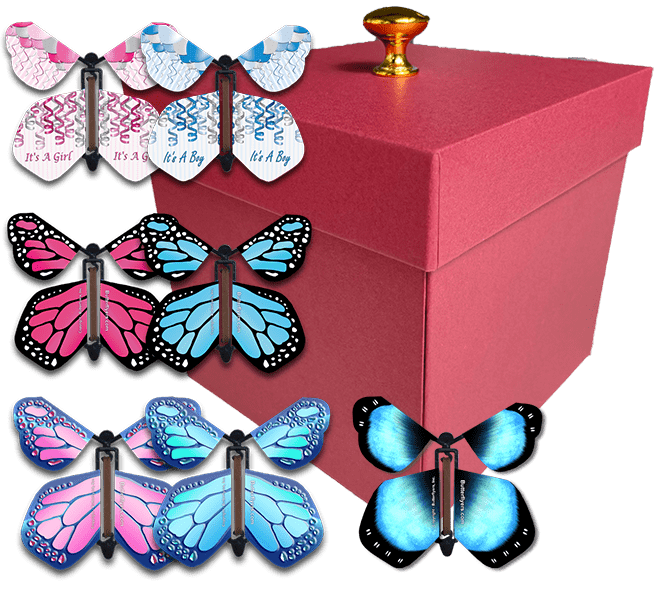 Red Exploding Butterfly Box With Gender Reveal Flying Butterflies From Butterflyers.com