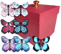 
              Red Exploding Butterfly Box With Gender Reveal Flying Butterflies From Butterflyers.com
            