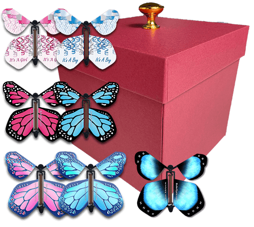 Red Exploding Butterfly Box With Gender Reveal Flying Butterflies From Butterflyers.com