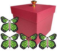 
              Red Exploding Butterfly Gift Box With 4 Green Monarch Wind Up Flying Butterflies from butterflyers.com
            