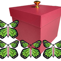 Red Exploding Butterfly Gift Box With 4 Green Monarch Wind Up Flying Butterflies from butterflyers.com