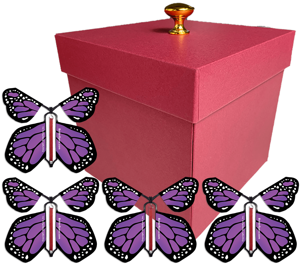 Red Exploding Butterfly Gift Box With 4 Purple Monarch Wind Up Flying Butterflies from butterflyers.com