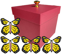 
              Red Exploding Butterfly Gift Box With 4 Yellow Monarch Wind Up Flying Butterflies from butterflyers.com
            