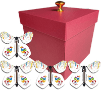 Pink Birthday Exploding Butterfly Box With Wind Up Flying Butterflies