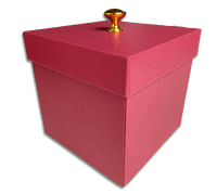 
              Red Valentines Day Exploding Butterfly Gift Box
            