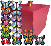 
              Red Exploding Butterfly Gift Box With 4 Wind Up Flying Monarch Butterflies from butterflyers.com
            