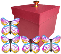 
              Red Exploding Butterfly Gift Box With 4 Bismuth Color Wind Up Flying Butterflies from butterflyers.com
            