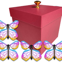 Red Exploding Butterfly Gift Box With 4 Bismuth Color Wind Up Flying Butterflies from butterflyers.com
