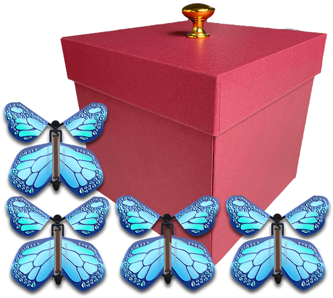 Red Exploding Butterfly Gift Box With 4 Cobalt Blue Wind Up Flying Butterflies from butterflyers.com