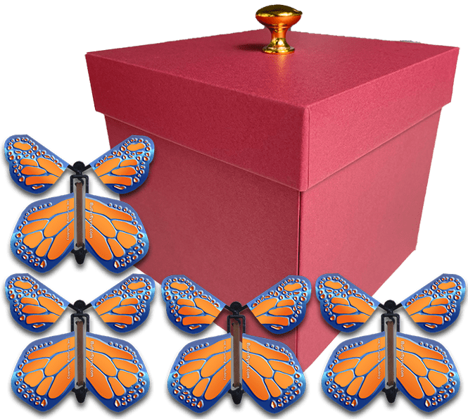 Red Exploding Butterfly Gift Box With 4 Cobalt Orange Wind Up Flying Butterflies from butterflyers.com