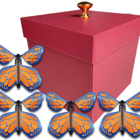 Red Exploding Butterfly Gift Box With 4 Cobalt Orange Wind Up Flying Butterflies from butterflyers.com
