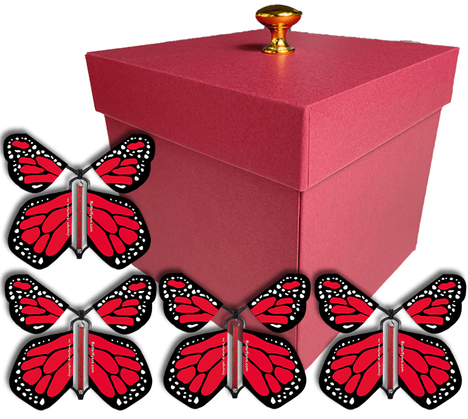 Red Exploding Butterfly Gift Box With 4 Red Monarch Wind Up Flying Butterflies from butterflyers.com