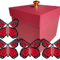 Red Exploding Butterfly Gift Box With 4 Red Monarch Wind Up Flying Butterflies from butterflyers.com