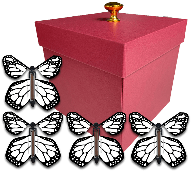 Red Exploding Butterfly Gift Box With 4 White Monarch Wind Up Flying Butterflies from butterflyers.com
