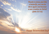 
              He is Risen Greeting Card Inside by Butterflyers.com
            