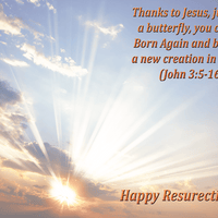 He is Risen Greeting Card Inside by Butterflyers.com