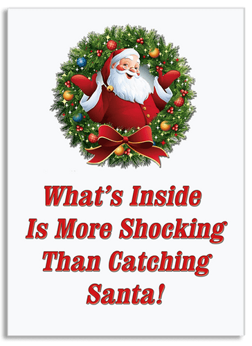 Santa Surprise greeting card by butterflyers.com