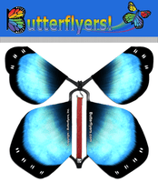 
              Blue Shimmer Wind Up Flying Butterfly For Greeting Cards by Butterflyers.com
            