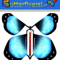 Blue Shimmer Wind Up Flying Butterfly For Greeting Cards by Butterflyers.com