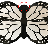 FLAWED - White Flying Butterfly Card (Card Only)