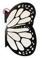 
              FLAWED - White Flying Butterfly Card (Card Only)
            