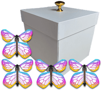 
              White Easter Exploding Butterfly Gift Box With 4 Bismuth Color Monarch Wind Up Flying Butterflies from butterflyers.com
            