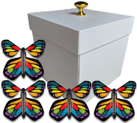 
              White Easter Exploding Butterfly Gift Box With 4 Stained Glass Wind Up Flying Butterflies from butterflyers.com
            